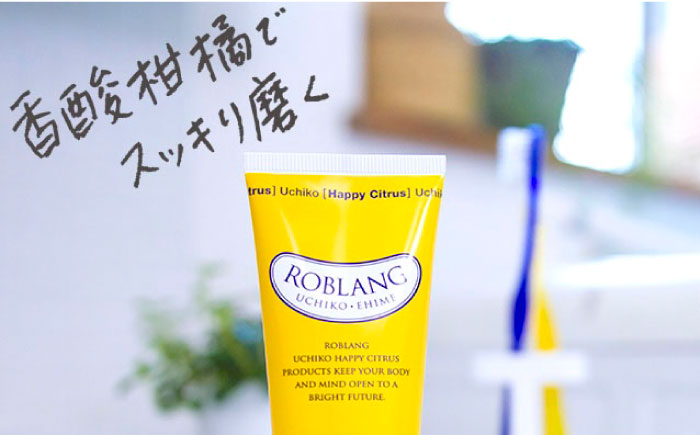 ロブラング ギフトセットB ／ デンタルケア オーラルケア 口腔ケア 口腔衛生ケア プレゼント ギフト 日用品 内子町【昭和刷子株式会社】 [BKAZ007]