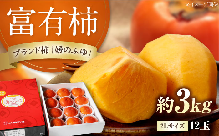 有袋富有柿 2L玉サイズ 約3kg（12玉入り）／フルーツ 果物 くだもの 食品 人気 内子町【愛媛たいき農業協同組合 果樹生産出荷協議会 柿部会】