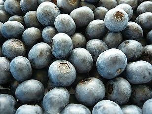 手摘みブルーベリー詰め合わせ（450g×4パック）＜2025年7月下旬より発送＞