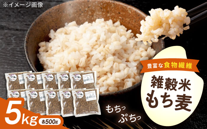 内子町産もち麦5kg ／ 国産 雑穀米 もち麦 ごはん おすすめ 送料無料 米 【株式会社内子フレッシュパークからり】 [BKAD012]