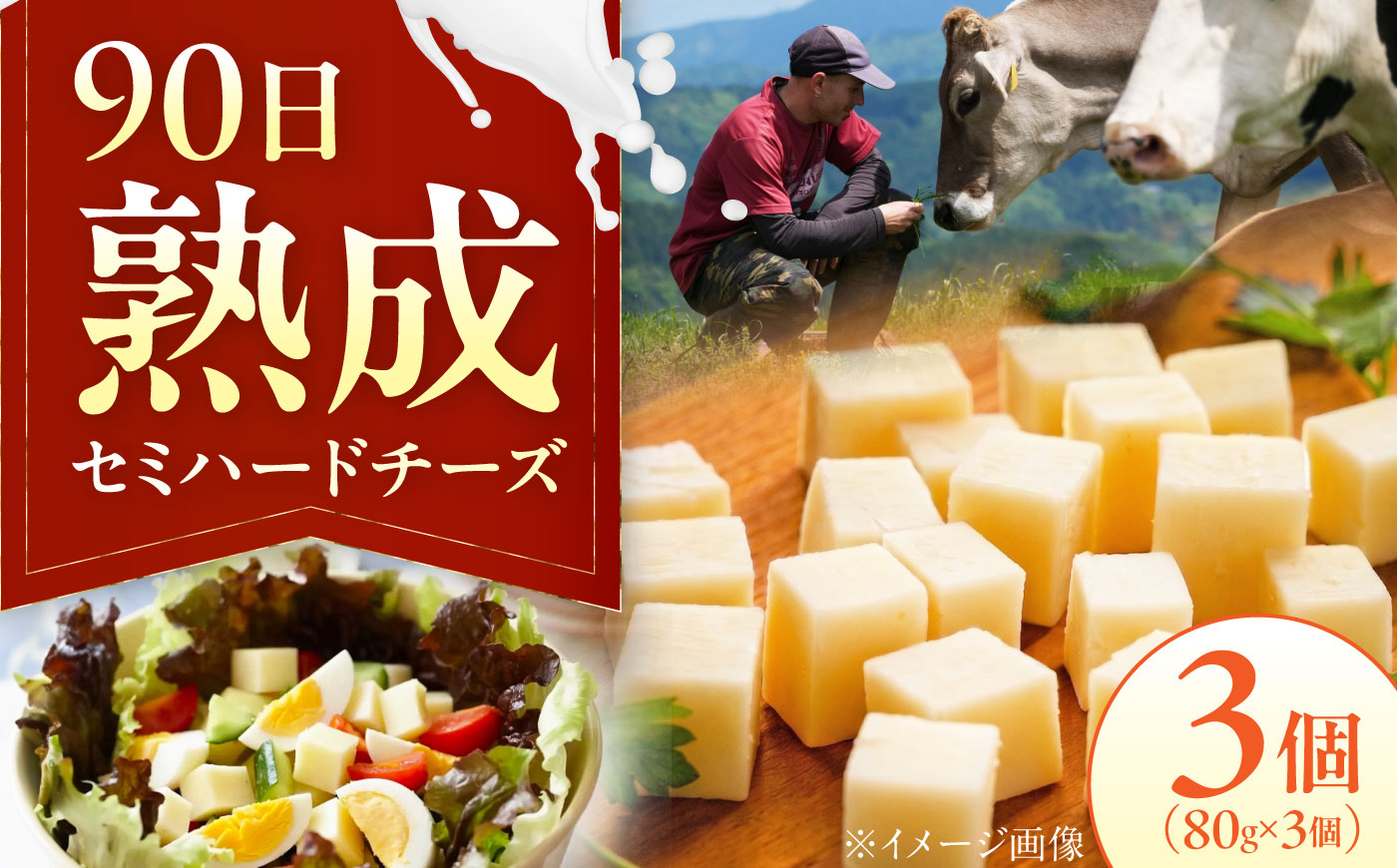山地放牧酪農ミルクのセミハードチーズ（UCHIKO180）4個セット/チーズ 愛媛県 伝統製法 おつまみ 乳製品/株式会社醍醐 [BKAH011]