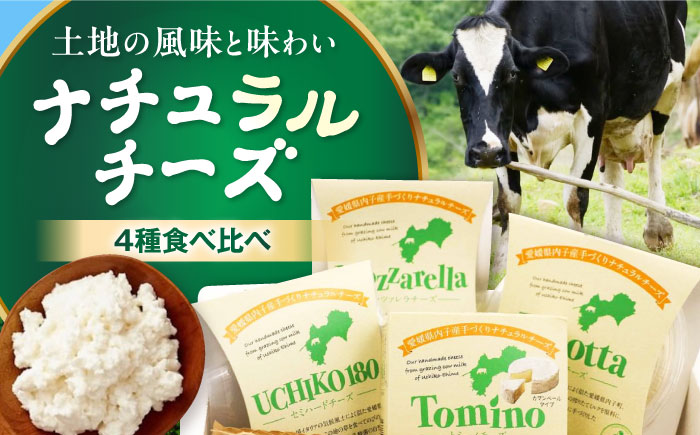 ナチュラルチーズ4種詰め合わせ（トミーノ/モッツァレラ/リコッタ/Uchiko180） ／ チーズ リコッタチーズ ナチュラルチーズ 詰め合わせ モッツアレラチーズ 愛媛県 伝統製法 おつまみ 乳製品【株式会社醍醐】[BKAH001]