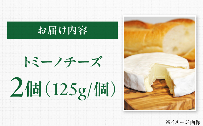 山地放牧酪農ミルクのトミーノチーズ（白カビタイプ）2個セット/チーズ トミーノチーズ  愛媛県 伝統製法 おつまみ 乳製品/株式会社醍醐 [BKAH003]