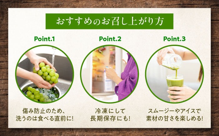 【先行予約】シャインマスカット 約2kg1箱（4房〜6房）＜2026年8月中旬から発送＞/ シャインマスカット マスカット ますかっと ぶどう ブドウ 葡萄 愛媛県 愛媛 内子町 フルーツ 果物 送料無料 美味しい おすすめ 人気 皮ごと 特産品 国産 【有限会社ふじブドウ園】 [BKCW005]