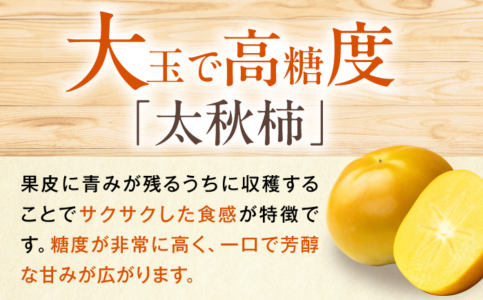 【先行予約】太秋柿 赤秀2Lサイズ約3kg（12玉入り）／ フルーツ 果物 くだもの かき 柿 内子町【愛媛たいき農業協同組合　果樹生産出荷協議会　柿部会】 [BKAL004]
