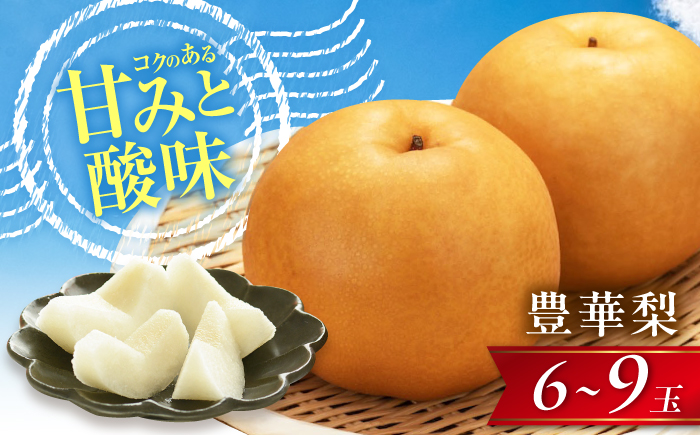 豊華梨(ゆたかなし) 6～9玉入 〈2026年9月～発送〉 ／ 梨 なし フルーツ 果物 くだもの 食品 人気 おすすめ 季節のフルーツ 豊華梨　／　株式会社内子フレッシュパークからり [BKAD120]