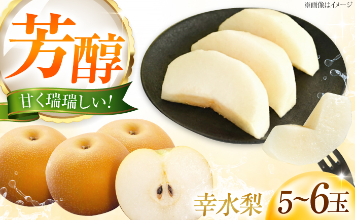 幸水梨(こうすいなし) 5～6玉入り 〈2026年8月～発送〉 ／ フルーツ 果物 くだもの 食品 人気 おすすめ 送料無料 梨 なし 幸水梨 梨 季節のフルーツ　／　株式会社内子フレッシュパークからり [BKAD113]