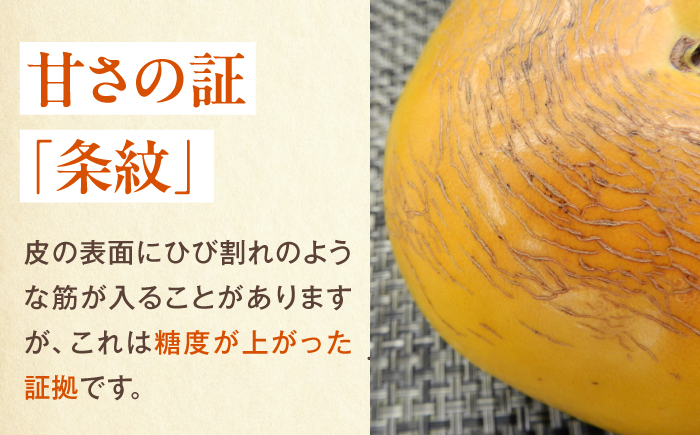 【先行予約】太秋柿 赤秀2Lサイズ約3kg（12玉入り）／ フルーツ 果物 くだもの かき 柿 内子町【愛媛たいき農業協同組合　果樹生産出荷協議会　柿部会】 [BKAL004]