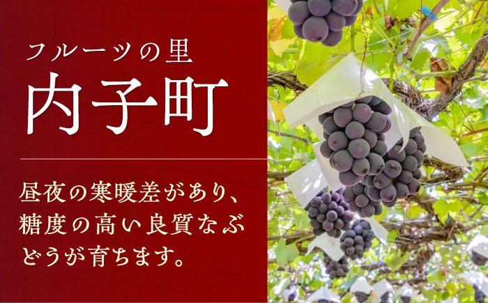 内子夢わいん 赤(山ぶどう)+ロゼ(巨峰) 1本約720ml 各1本入りセット 計1440ml / ワイン 赤ワイン ロゼワイン わいん wine お酒 酒 洋酒 愛媛県 愛媛 内子町 国産ワイン 日本ワイン 果実酒 送料無料 人気 家飲み 四国 【企業組合内子ワイナリー】 [BKAG004]