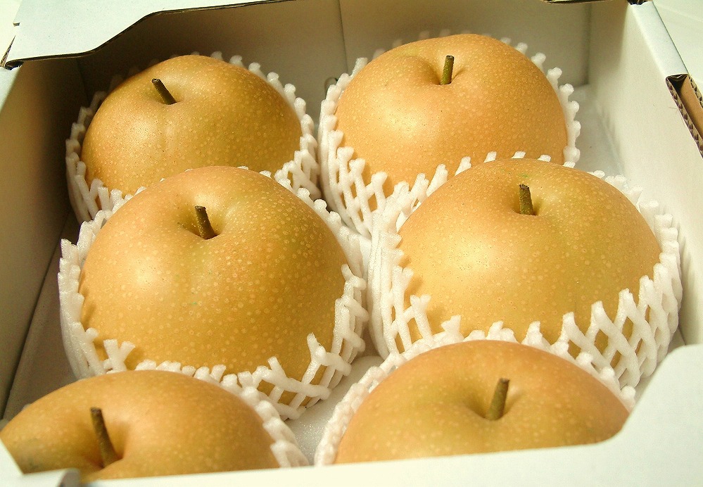 äžå²¡ææš¹åã®æ°é«æ¢šïŒã«ããããªãïŒïŒ2ïŒã5ïœ8çå
¥ãã