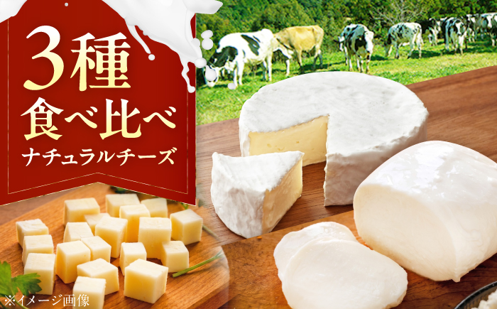 山地放牧酪農ミルクのナチュラルチーズ3種詰め合わせセット/（トミーノ/モッツァレラ/セミハード（UCHIKO180））愛媛県 伝統製法 おつまみ 乳製品/株式会社醍醐 [BKAH002]