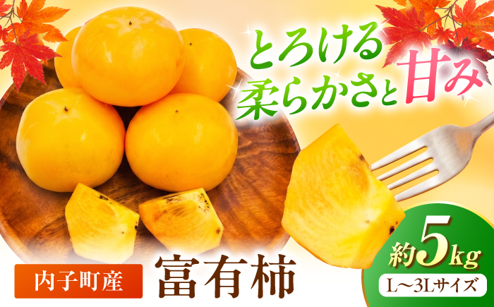 【先行予約】富有柿(L〜3L) 5kg 【北海道・沖縄配送不可】 ／ 甘柿 柿 かき カキ 果物 フルーツ 国産 産地直送【株式会社フジ・アグリフーズ】BKAY019