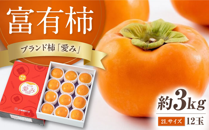 富有柿 2L玉サイズ 約3kg（12玉入り）／フルーツ 果物 くだもの 食品 人気 内子町【愛媛たいき農業協同組合 果樹生産出荷協議会 柿部会】
