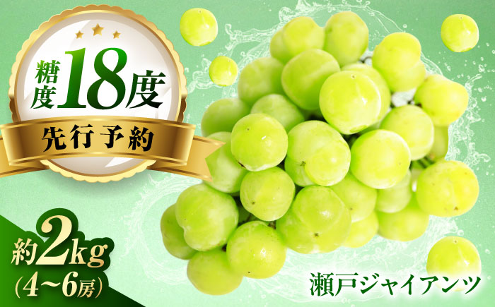 【先行予約】瀬戸ジャイアンツ 約2kg1箱（4房〜6房）＜2026年8月下旬から発送＞/ 瀬戸ジャイアンツ ぶどう ブドウ 葡萄 マスカット ますかっと 愛媛県 愛媛 内子町 フルーツ 果物 送料無料 美味しい おすすめ 人気 皮ごと 特産品 四国 国産 【有限会社ふじブドウ園】 [BKCW001]