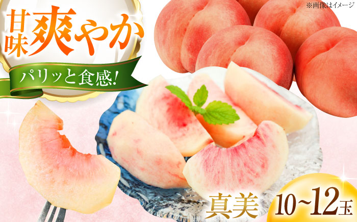 【先行予約】藤渕果樹園の真美(まみ)桃 10〜12玉入り 〈2026年7月下旬〜発送〉／モモ 桃 フルーツ 果物 1箱 くだもの もも 【株式会社内子フレッシュパークからり】 [BKAD086]