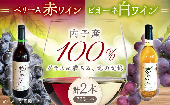 内子夢わいん 赤(ベリーA)+白(ピオーネ) 1本約720ml 各1本入りセット 計1440ml / ワイン 赤ワイン 白ワイン わいん wine お酒 酒 洋酒 愛媛県 愛媛 内子町 国産ワイン 日本ワイン 果実酒 送料無料 人気 家飲み 【企業組合内子ワイナリー】 [BKAG005]