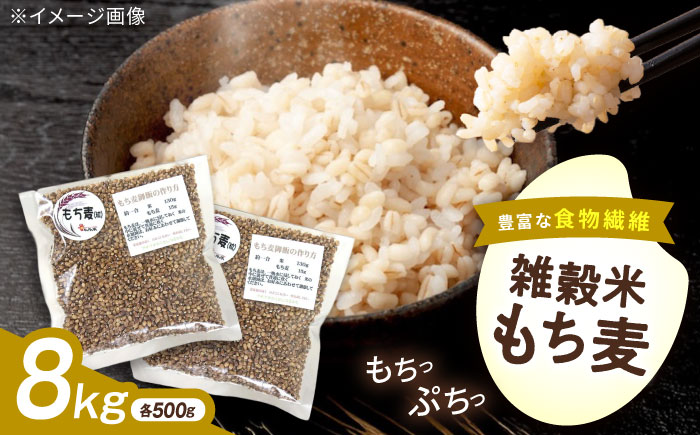 内子町産もち麦8kg ／ 国産 雑穀米 もち麦 ごはん おすすめ 送料無料 米 【株式会社内子フレッシュパークからり】 [BKAD015]