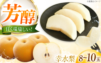 藤渕果樹園の幸水梨(こうすいなし) 8〜10玉入り 〈2026年8月〜発送〉 ／ フルーツ 果物 くだもの 食品 人気 おすすめ 送料無料 梨 なし 幸水梨 梨 季節のフルーツ 【株式会社内子フレッシュパークからり】 [BKAD088]