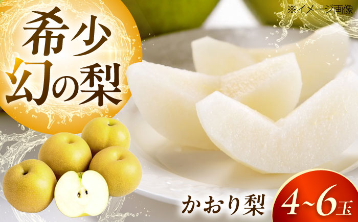 上岡果樹園のかおり梨 4〜6玉入り 〈2026年9月〜発送〉 ／ フルーツ 果物 くだもの 食品 人気 おすすめ 送料無料 梨 なし かおり梨 季節のフルーツ 【株式会社内子フレッシュパークからり】 [BKAD056]