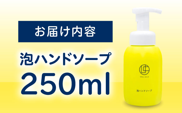 うちこコスメ泡ハンドソープ 250ml ／ スキンケア 洗浄 化粧品 コスメ 美容 日用品 手洗い ハンドソープ 愛媛県 内子町 四国 【昭和刷子株式会社】 [BKAZ001]