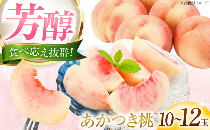 あかつき桃 10～12玉入り 〈2026年7月～発送〉 ／ フルーツ 果物 くだもの 食品 人気 おすすめ 送料無料 桃 もも あかつき桃 モモ 季節のフルーツ /　株式会社内子フレッシュパークからり [BKAD109]