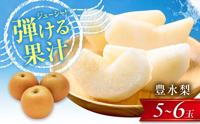 尾形農園の豊水梨（ほうすいなし） 5〜6玉入り 〈2026年8月〜発送〉 ／ フルーツ 果物 くだもの 食品 人気 おすすめ 送料無料 梨 なし 豊水梨 季節のフルーツ 【株式会社内子フレッシュパークからり】 [BKAD050]