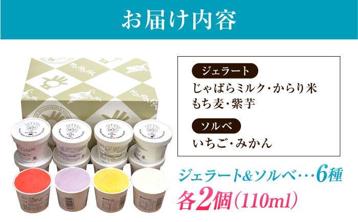 ジェラート&ソルベ 12個 ／ ジェラート じぇらーと アイス あいす ソルベ お菓子 菓子 おかし スイーツ デザート 愛媛県 内子町 四国 【株式会社内子フレッシュパークからり】 [BKAD090]