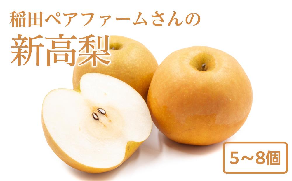 稲田ペアファームの新高梨（にいたかなし）（2）【5～8玉入り】