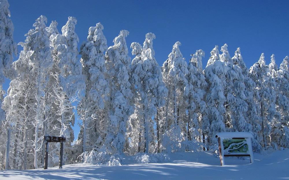 ãååœæé·1200mã³ãŒã¹ïŒãSOL-FA ODA ãã¢ãªããåžïŒãœã«ãã¡ã»ãªãã¹ããŒã²ã¬ã³ãïŒ