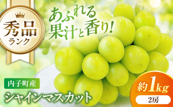 【先行予約】シャインマスカット 秀品 2房 約1kg ＜2026年8月下旬〜発送開始＞ ／ シャインマスカット 大人気 愛媛県 美味しい 人気 皮ごと 葡萄 ブドウ 愛媛県産 内子町産 新鮮 旬 フルーツ 果物 くだもの【株式会社フジ・アグリフーズ】[BKAY003]