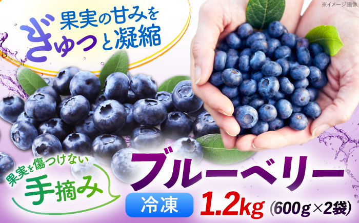 冷凍ブルーベリー 1.2kg(600ｇ×2袋) [BKBW004]