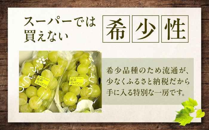 【先行予約】瀬戸ジャイアンツ 約2kg1箱（4房〜6房）＜2026年8月下旬から発送＞/ 瀬戸ジャイアンツ ぶどう ブドウ 葡萄 マスカット ますかっと 愛媛県 愛媛 内子町 フルーツ 果物 送料無料 美味しい おすすめ 人気 皮ごと 特産品 四国 国産 【有限会社ふじブドウ園】 [BKCW001]