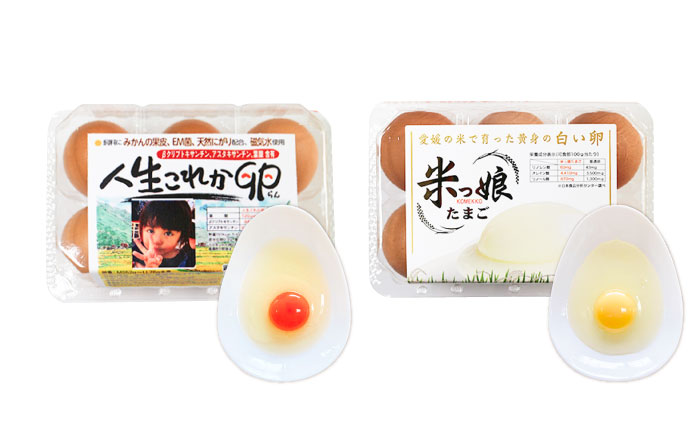 はじめての卵 食べ比べセット 6個×5種類(内割れ保証5個、各種1個づつ)／たまご 生卵 食べ比べ 詰め合わせ お試し 内子町 四国 愛媛県 【有限会社イヨエッグ】 [BKCB001]