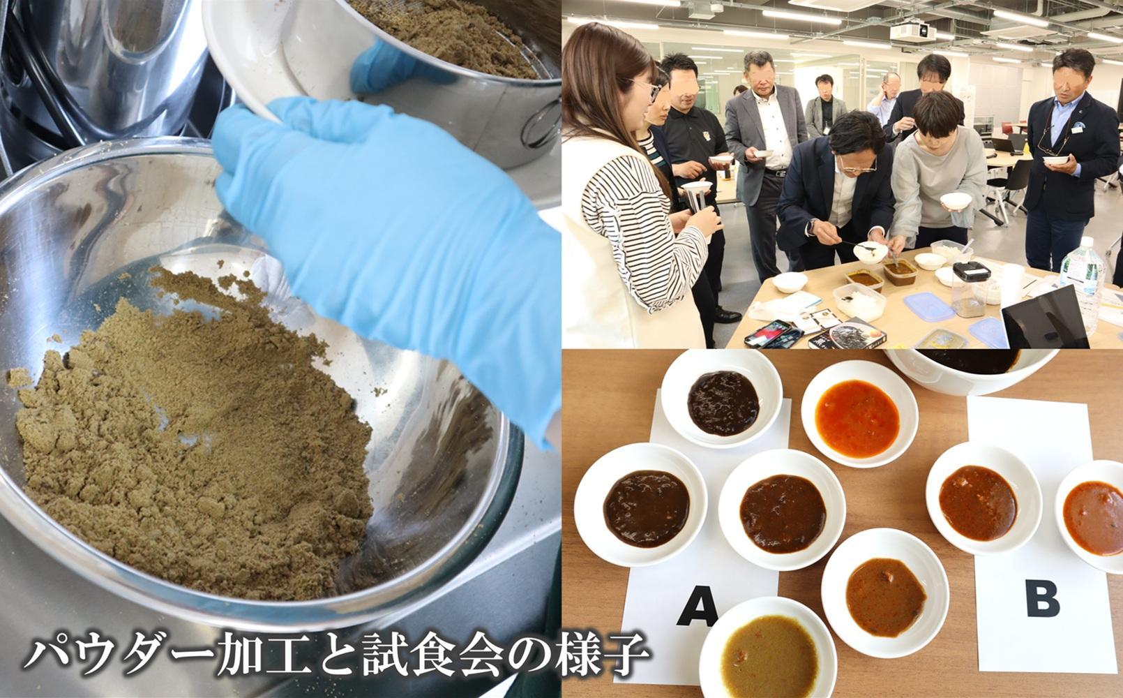 愛媛大学共同企画 愛媛県内子町産イエコオロギパウダー 国産牛肉 タンパク質 食物繊維 鉄分 亜鉛 うちこおろぎスープカレー4個セット