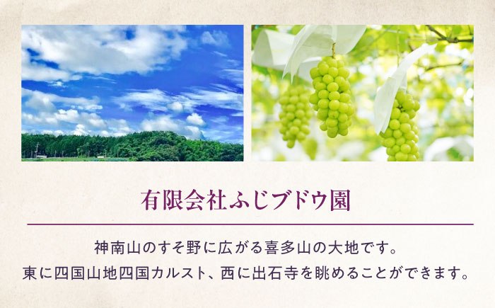 【先行予約】ニューピオーネ 約2kg1箱（4房〜6房）＜2026年8月中旬から発送＞/ ニューピオーネ ぶどう ブドウ 葡萄 愛媛県 愛媛 内子町 フルーツ 果物 送料無料 美味しい おすすめ 人気 特産品 四国 国産 【有限会社ふじブドウ園】 [BKCW004]