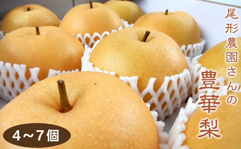 尾形農園の豊華梨(ゆたかなし)（2）【6～9玉入り】