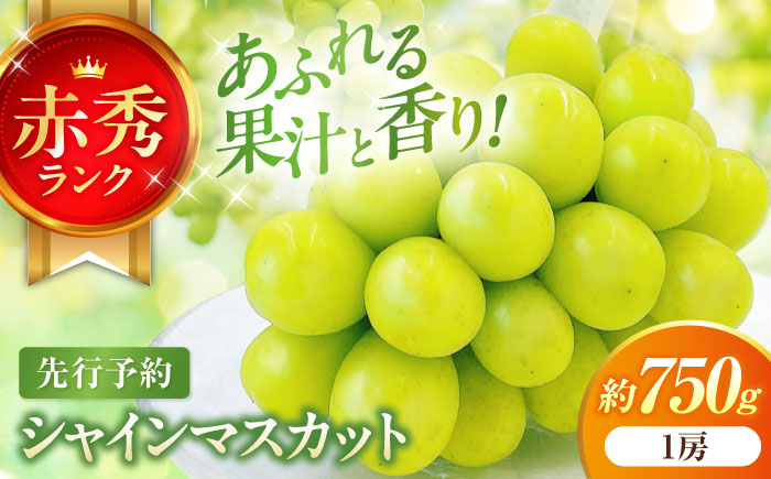 【先行予約】内子町産 シャインマスカット 赤秀 1房入 750g以上 ＜2025年8月下旬から発送＞【北海道・沖縄配送不可】 ／ シャインマスカット 皮ごと 葡萄 ブドウ 旬 フルーツ 果物 くだもの【株式会社フジ・アグリフーズ】[BKAY007]