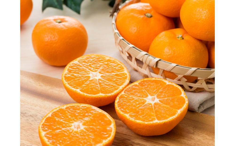 【定期便全6回】えひめかんきつ定期便