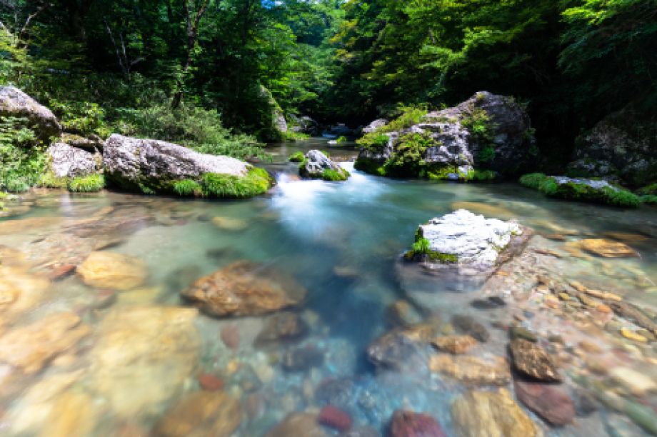 美しい風景づくりや環境の整備