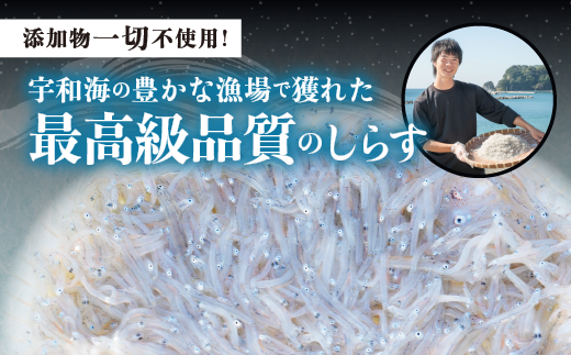 【愛媛県・佐田岬直送】木嶋水産の釜揚げしらす 1kg（250g×4パック）｜魚介類 海産物 魚 釜揚げ しらす シラス 小分け やみつき ご飯のお供 おつまみ 酒の肴 おやつ しらす丼 サラダ 海産物 冷凍 お取り寄せ グルメ 食品 国産 愛媛県産 ※離島への配送不可