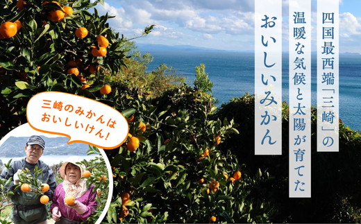 【先行受付】【※超訳あり】清見オレンジ 10kg | みかん 柑橘 ミカン 蜜柑 mikan 果物 フルーツ 糖度 甘い きよみ タンゴール 温州 オレンジ ミックス 愛媛県 伊方町 Misaki Base ※2025年3月中旬～4月中旬頃に順次発送予定 ※離島への配送不可