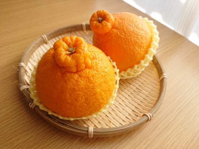 【先行予約】【訳あり】不知火 約10kg | 柑橘 みかん 果物 フルーツ 愛媛県産 農家直送　※離島への配送不可　※2026年2月中旬より順次発送予定  IKTAU009