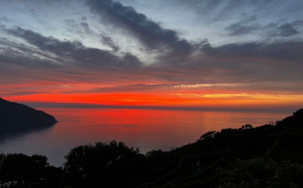 【先行予約】【家庭用】清見オレンジ 約5kg | 柑橘 みかん 果物 フルーツ 愛媛県産 農家直送　※離島への配送不可　※2026年2月下旬より順次発送予定 IKTAU010
