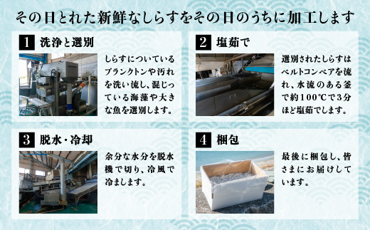 【愛媛県・佐田岬直送】木嶋水産の釜揚げしらす 12kg（2kg×6パックセット）｜ 魚介類 海産物 魚 釜揚げ しらす シラス 小分け やみつき ご飯のお供 おつまみ 酒の肴 おやつ しらす丼 サラダ 海産物 魚 冷凍 国産 愛媛県産　※離島への配送不可