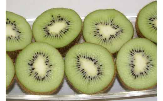 ãå
è¡äºçŽãããŠã€ãã«ãŒãïŒçæïŒ3kgïŒ2025幎11æäžæ¬ããé æ¬¡çºéïŒ IKTF024