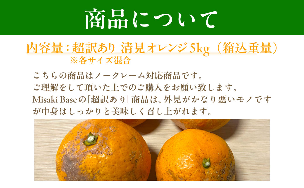 【先行受付】【※超訳あり】清見オレンジ 5kg ※離島への配送不可 （2026年3月中旬より順次発送） IKTAB009 