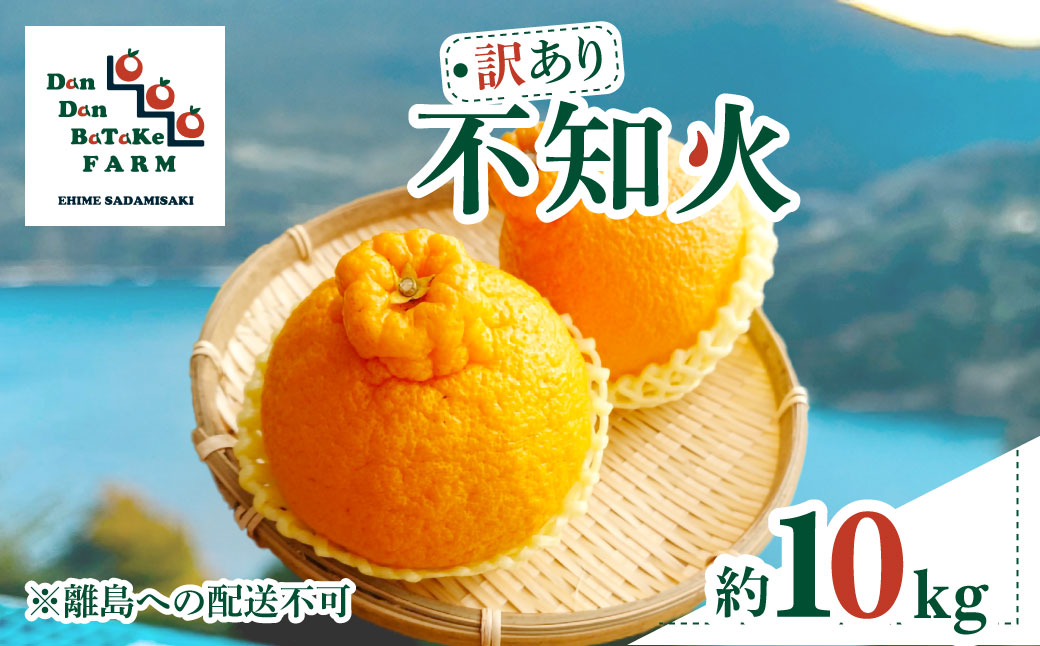 【先行予約】【訳あり】不知火 約10kg | 柑橘 みかん 果物 フルーツ 愛媛県産 農家直送　※離島への配送不可　※2026年2月中旬より順次発送予定  IKTAU009