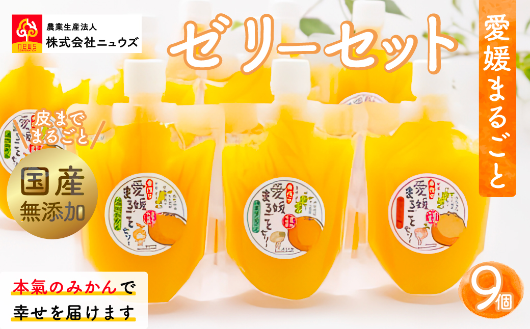 【皮までまるごと国産無添加】愛媛まるごとゼリーセット（9個） IKTF009