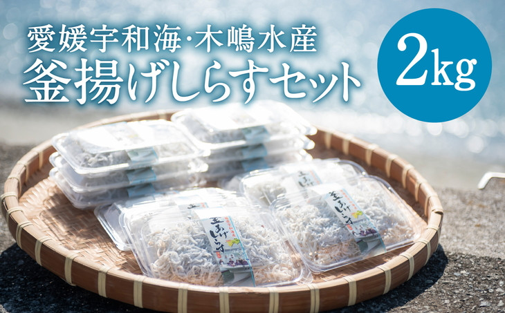 【愛媛県・佐田岬直送】木嶋水産の釜揚げしらす 2kg（250g×8パック）｜ 魚介類 海産物 魚 釜揚げ しらす シラス 小分け やみつき ご飯のお供 おつまみ 酒の肴 おやつ しらす丼 サラダ 海産物 魚 冷凍 国産 愛媛県産　※離島への配送不可