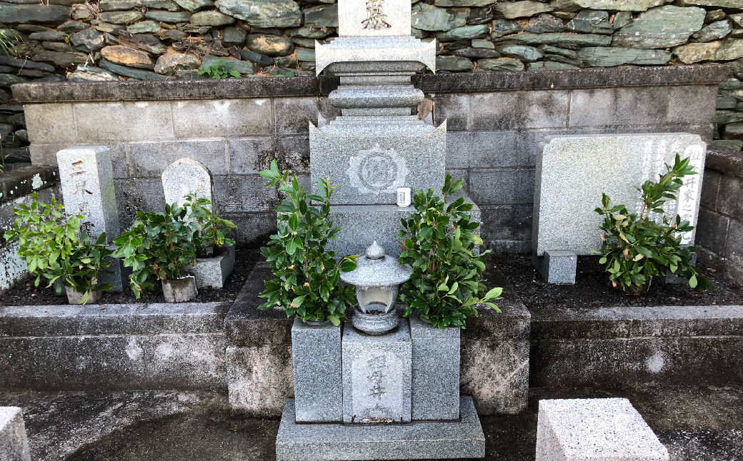 縺雁「薙ョ謗髯、莉」陦後し繝シ繝薙せ 蟷エ4蝗槭さ繝シ繧ケ IKTAA003